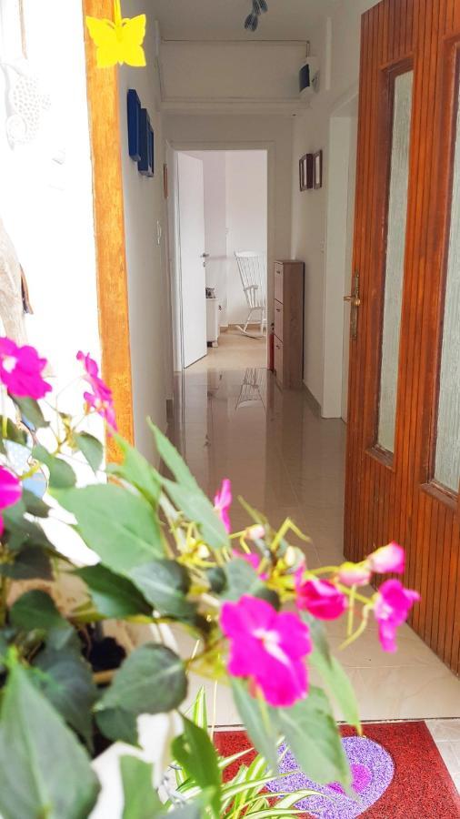 Apartmani Crikvenica 30098 - Dijana Kamer foto